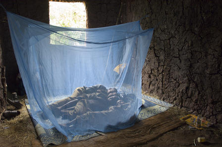 Four siblings rest peacefully beneath a long-lasting insecticide-treated bed net. The net keeps away mosquitoes that can carry lymphatic filariasis and malaria.